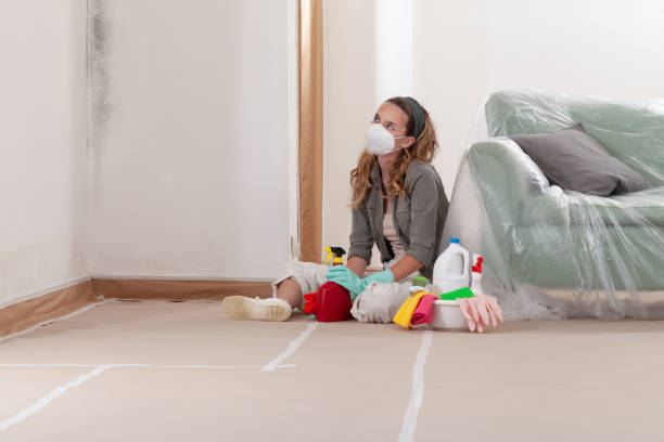 Reliable Crawl Space Mold Removal contractor in Margarettsville, NC by WQB Mold Removal